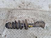 Front shock absorber with coil spring