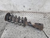 Front shock absorber with coil spring