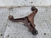 Front lower control arm/wishbone