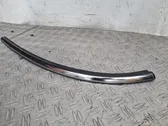 Rear side glass trim