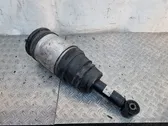 Air suspension rear shock absorber