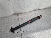 Rear shock absorber/damper