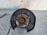 Rear wheel hub