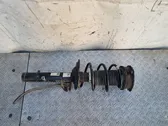 Front shock absorber with coil spring