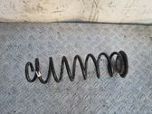 Rear coil spring