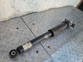 Rear shock absorber/damper