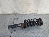 Front shock absorber with coil spring