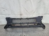 Front bumper lower grill