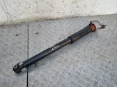 Rear shock absorber/damper