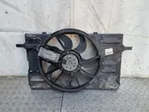 Electric radiator cooling fan