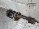 Front shock absorber with coil spring