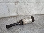 Front air suspension shock absorber