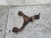 Front lower control arm/wishbone