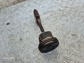 Piston with connecting rod