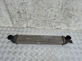 Intercooler radiator