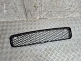 Front bumper lower grill
