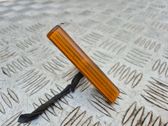 Front fender indicator light