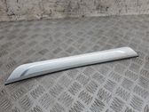 Rear sill trim cover