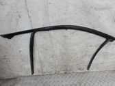 Front door glass trim molding