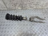 Front shock absorber with coil spring