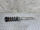 Front shock absorber with coil spring