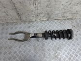 Front shock absorber with coil spring
