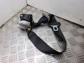 Cinturón trasero