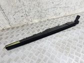 Rear door glass trim molding