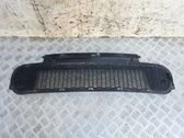 Front bumper lower grill