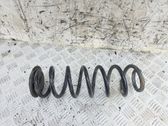 Rear coil spring