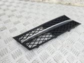 Front bumper lower grill