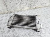 Intercooler radiator