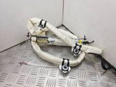 Roof airbag
