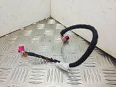 Other wiring loom