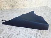 (C) pillar trim