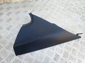 (C) pillar trim