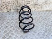 Front coil spring