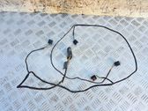 Parking sensor (PDC) wiring loom