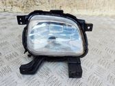 Front fog light