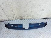 Engine bonnet/hood lock trim molding
