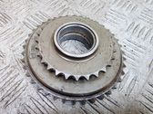 Timing chain sprocket