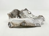 Exhaust heat shield