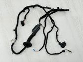 Rear door wiring loom