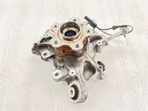 Rear wheel hub