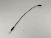 Línea de cable puerta delantera