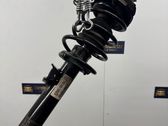 Amortiguador delantero con muelle espiral