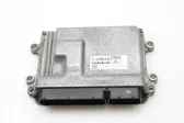 Calculateur moteur ECU