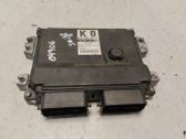 Motorsteuergerät ECU
