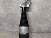 Front shock absorber/damper