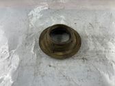 Rear coil spring rubber mount